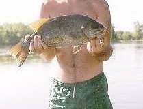 billysbass